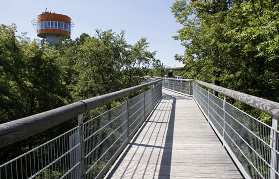 Treetop Walk in Hainich National Park