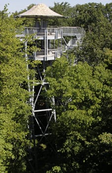 Treetop Walk in Hainich National Park