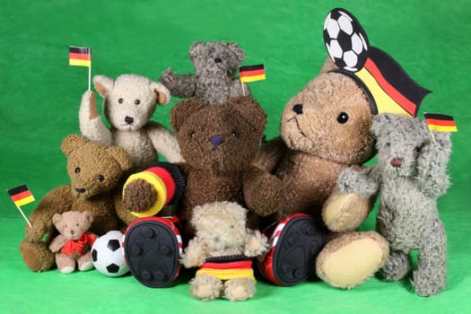 Football fans