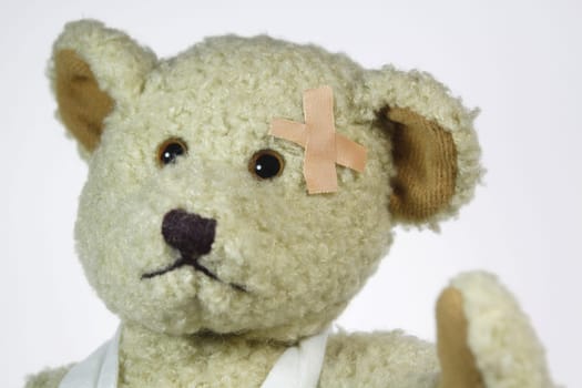 Sick bear