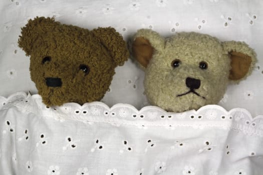 Cuddle hour with cuddly teddies