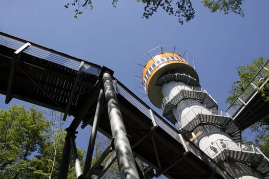 Treetop Walk in Hainich National Park