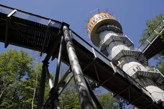Treetop Walk in Hainich National Park