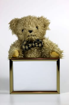 Teddy bear with picture frame