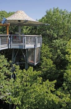 Treetop Walk in Hainich National Park