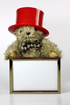 Teddy bear with picture frame