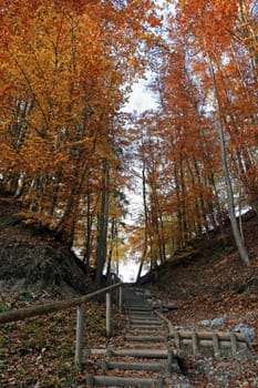 The wooden staircase into autumn