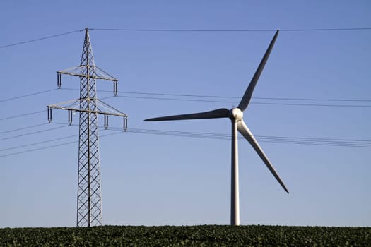 Energy Suppliers