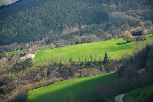 lawns and trees in spring in Apennines in Italy