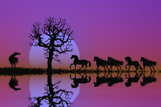 Silhouette Wild Horses