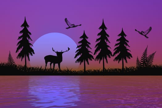 in the forest