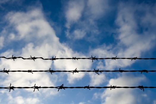 Barbed wire towards blue sky