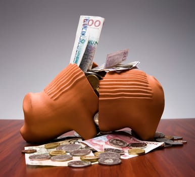 Broken Piggy Bank with Swedish money
