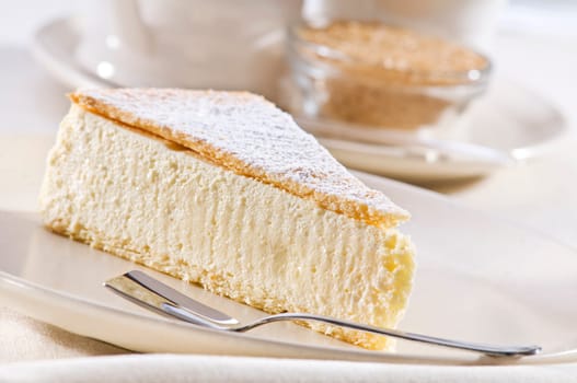 Fresh cheese cake on a plate close up shoot