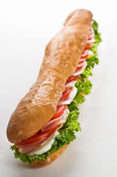 Fresh ham and cheese sandwich with salad close up