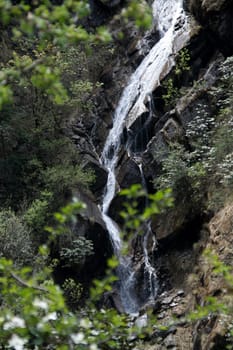 Water falling along surface of mountain rock in forest