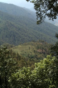 Mountain covered with thick, green forest with small stretch of bald peak