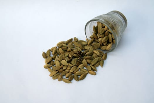 Cardamom or Cardamum is aromatic Asian plant, Elettaria cardamomum, seeds of which are used as spice