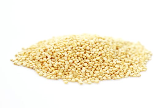 Healthy grain-like crop from South America often used in gluten-free diet