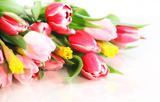 Variation of spring flowers on white background