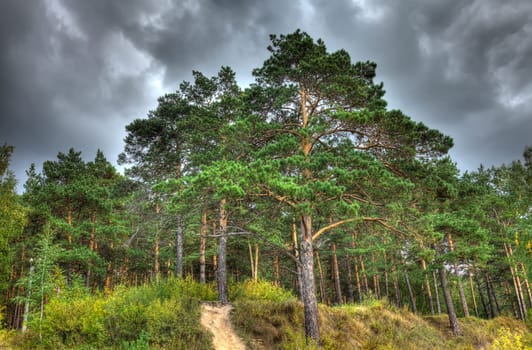 Nature autumn landscape, HDR image