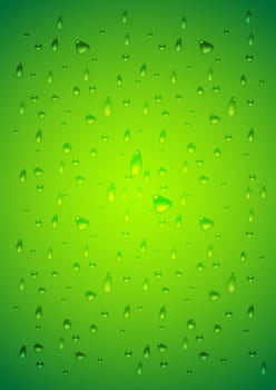 Water drops. Vector illustration - eps 10