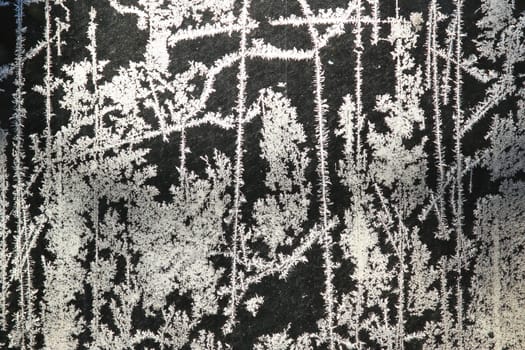 Ice flowers on a window pane in backlight
