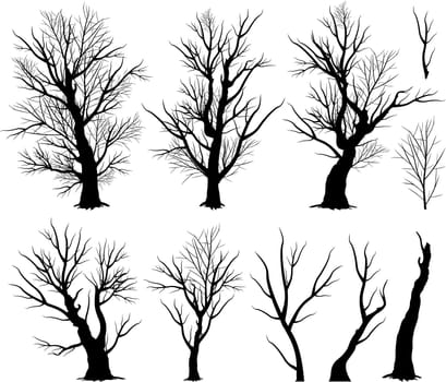 Creepy tree