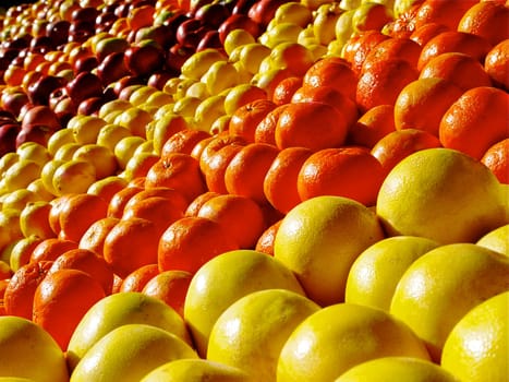 Tasty and colorful fruits in a morning sun