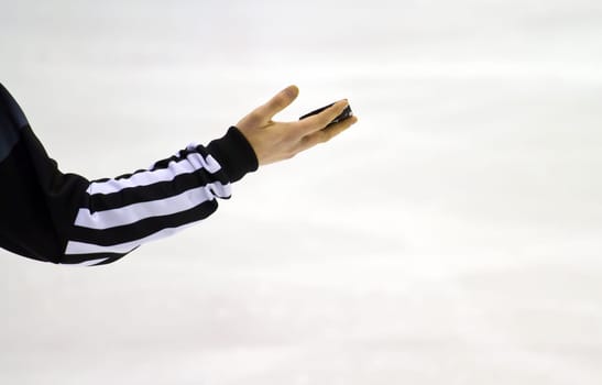 ice hockey referee