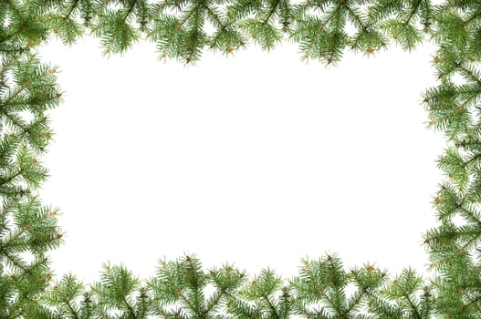 christmas frame made from pine branches on white
