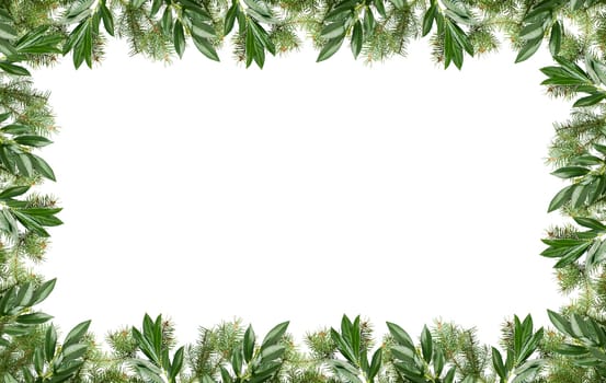 christmas frame made from pine branches on white