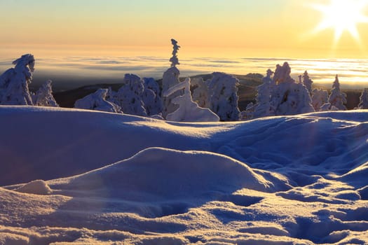 At sunrise on the Brocken