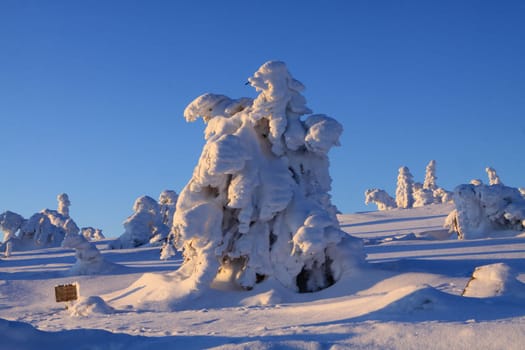 At sunrise on the Brocken