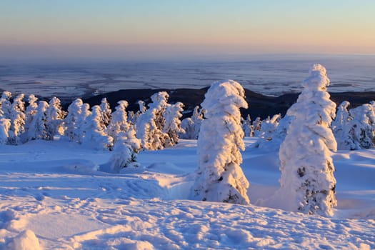 At sunrise on the Brocken
