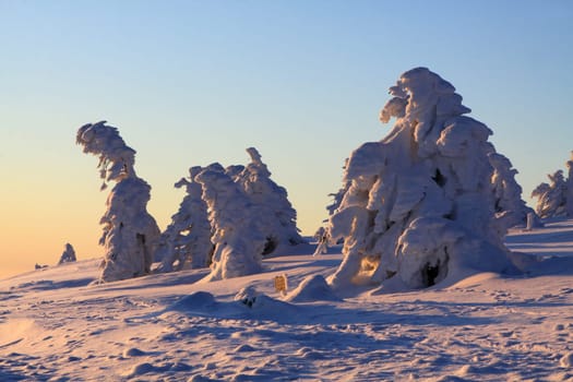 At sunrise on the Brocken