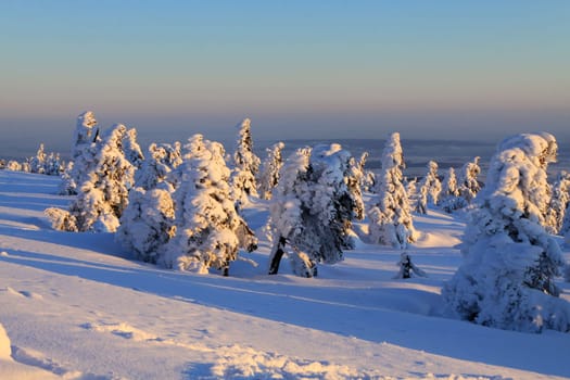 At sunrise on the Brocken