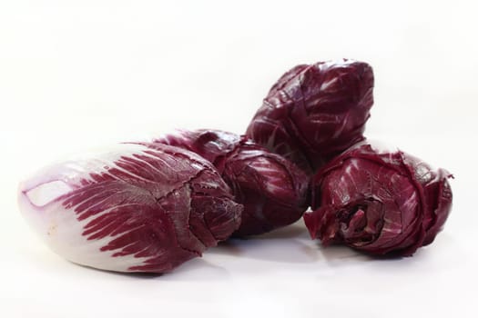 four red chicory against white background