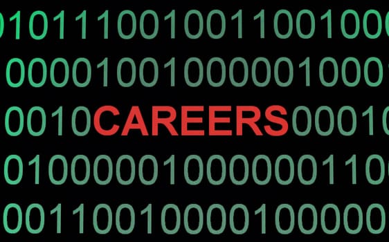 Career