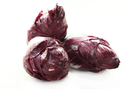 three red chicory against white background