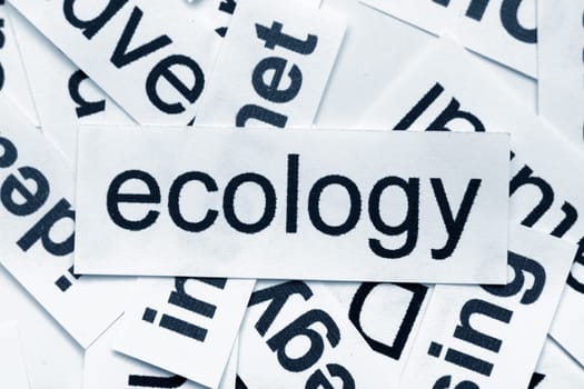 Ecology word cloud