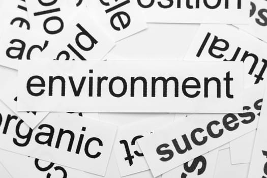 Environment word cloud
