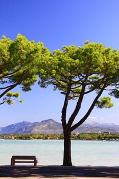 idyllic seating area under pine trees on the shores of Lake Garda in Peschiera,Italy
