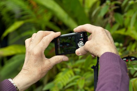Image - how to photograph butterflies
