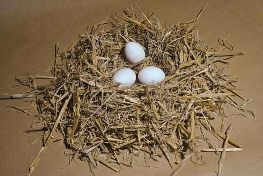 Bird's Nest 02