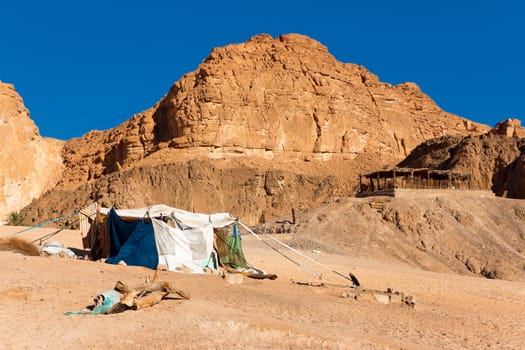 Bedouin camping