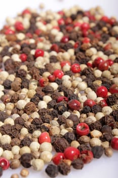 Mixed pepper isolated on white background