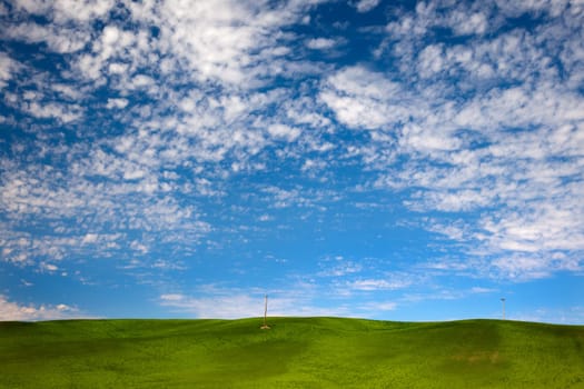 Green Wheat Grass Fields Blue Skies Palouse Washington State Pacific Northwest