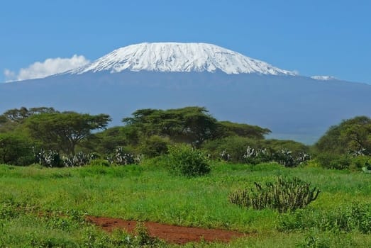 Landscape with snow covered peak of Kilimanjaro in Kenya