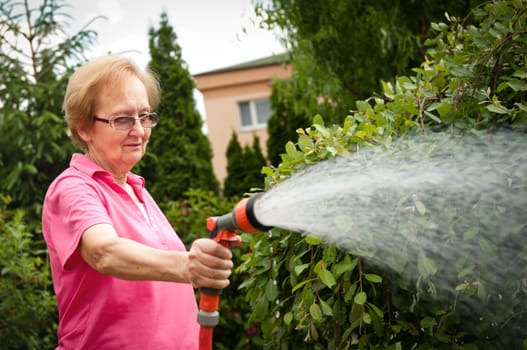 Senior woman watering garden